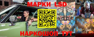 apvp Канаш