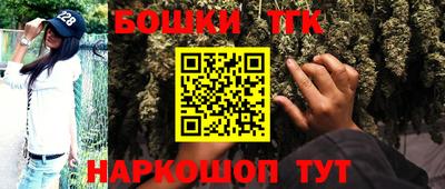 apvp Канаш