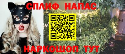 apvp Канаш