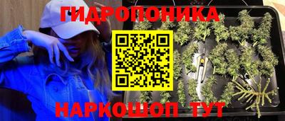 mdpv Камышлов