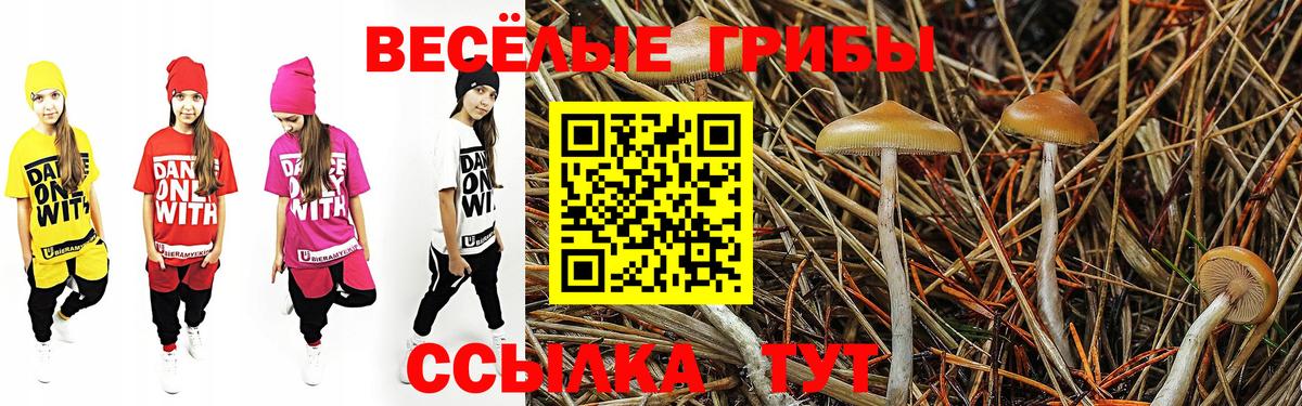 Галлюциногенные грибы MAGIC MUSHROOMS Луховицы