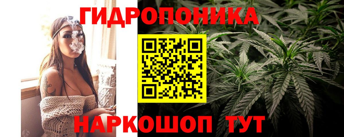 Канабис план Луховицы
